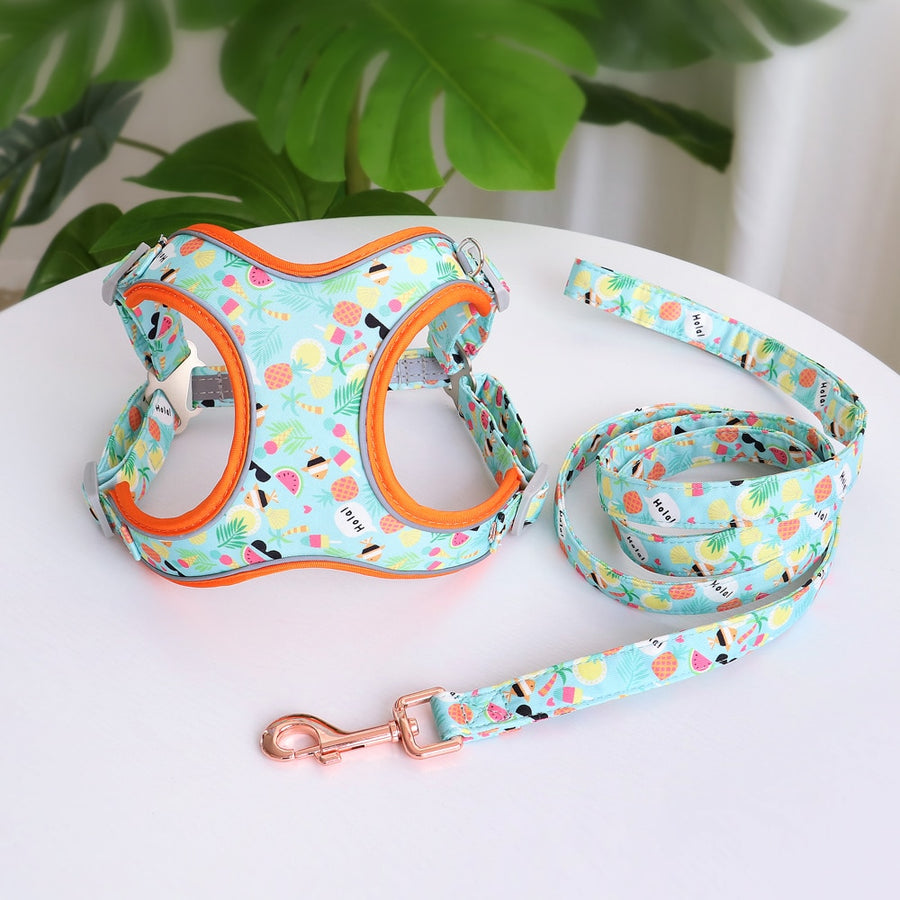 Sweet Candy Dog Harness Set