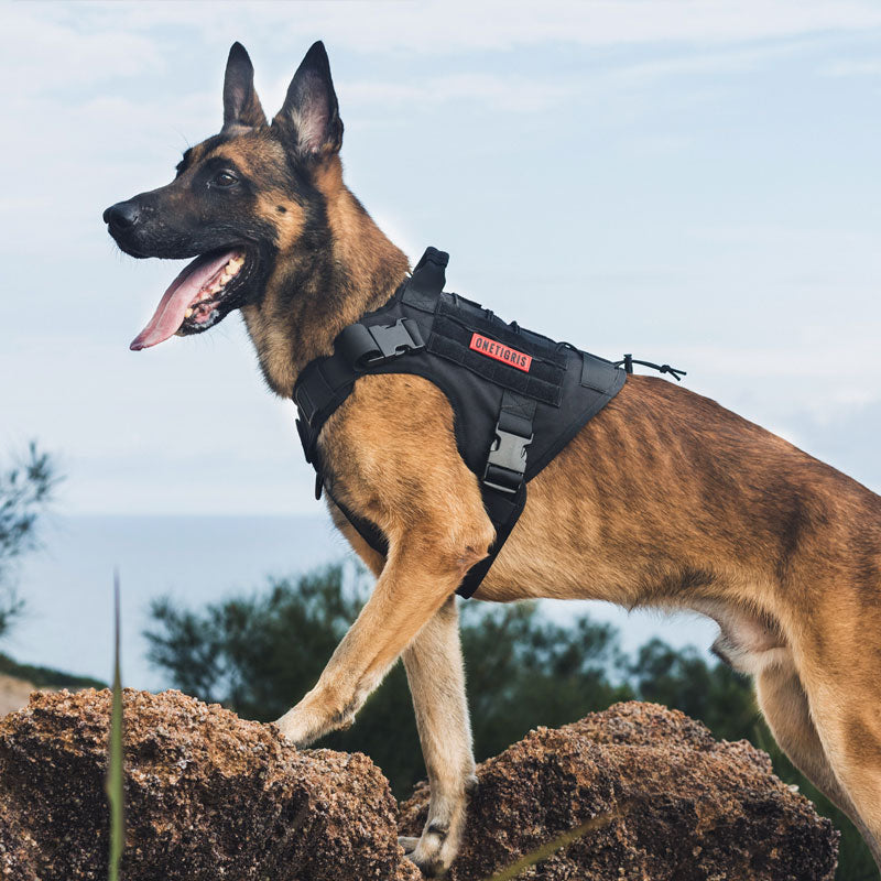 Tactical Service Dog Harness Vest