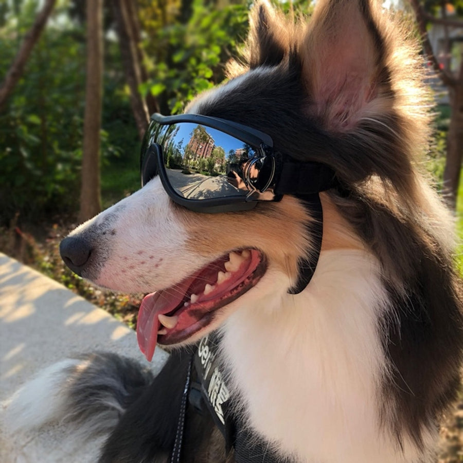 Cool UV Protection Dog Goggles