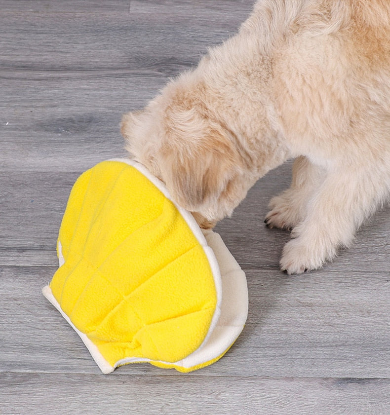 Squeaky Plush Shell Dog Toy