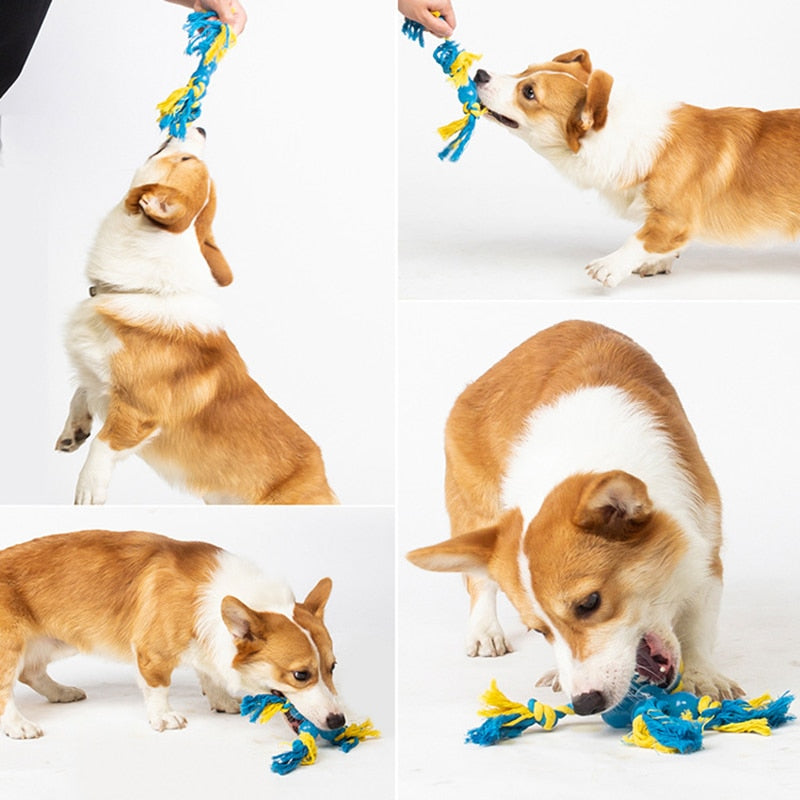 Colorful Knots Dog Rope Toy