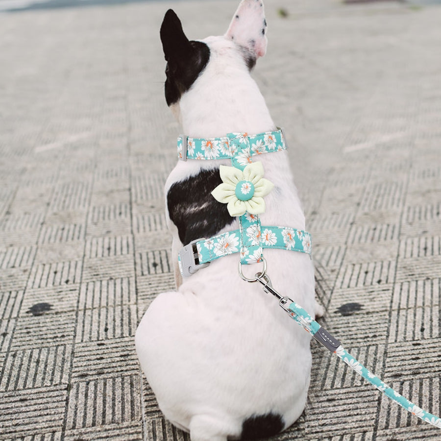 Nylon White Floral Pet Harness