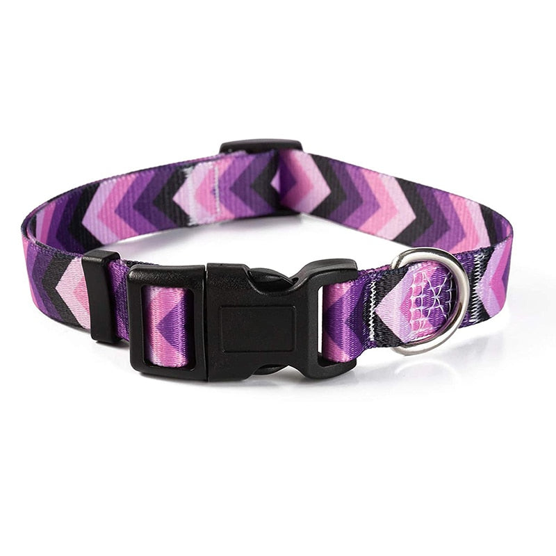 Bohemain Nylon Floral Dog Collar