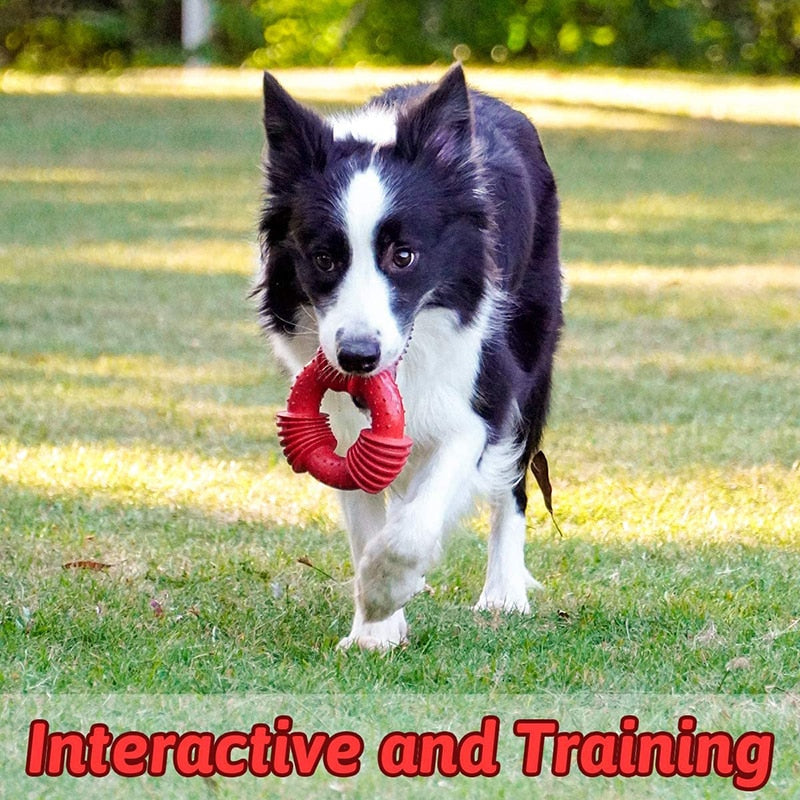 Strong Interactive Aggressive Dog Toy