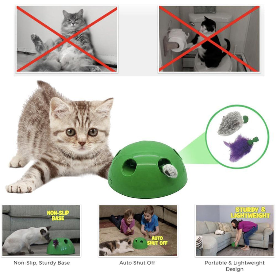 Funny Cat Interactive Toy