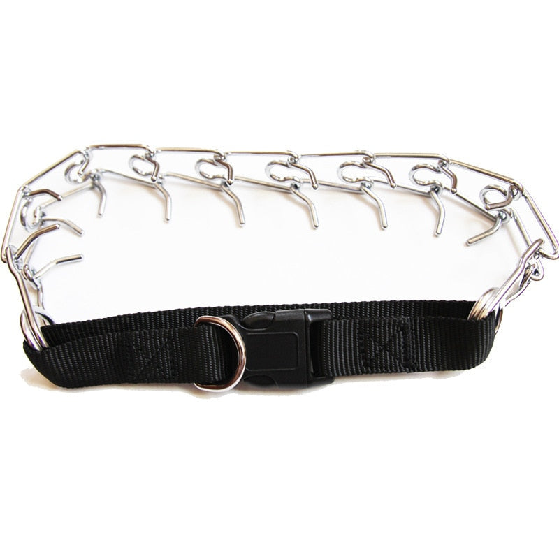 Corrosion Resistant Prong Dog Collar