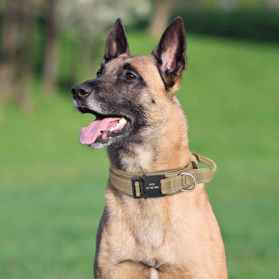 Brown Military Tactical Dog Collar