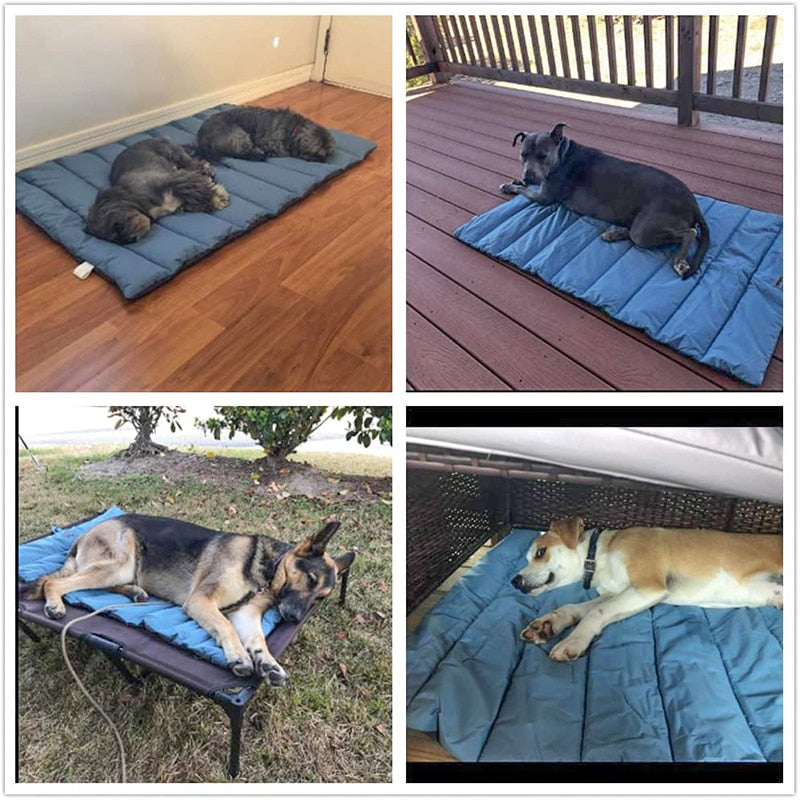 All Season Foldable Dog Beds