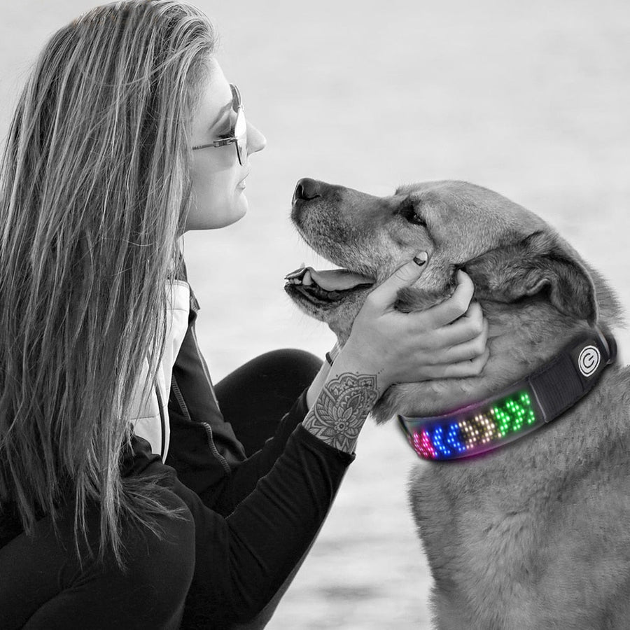 App Control Led Display Dog Collar