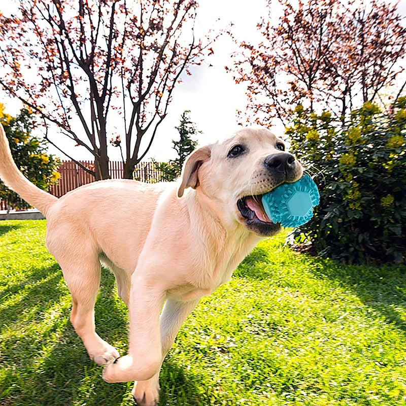 Sturdy Food Dispensing Dog Toy