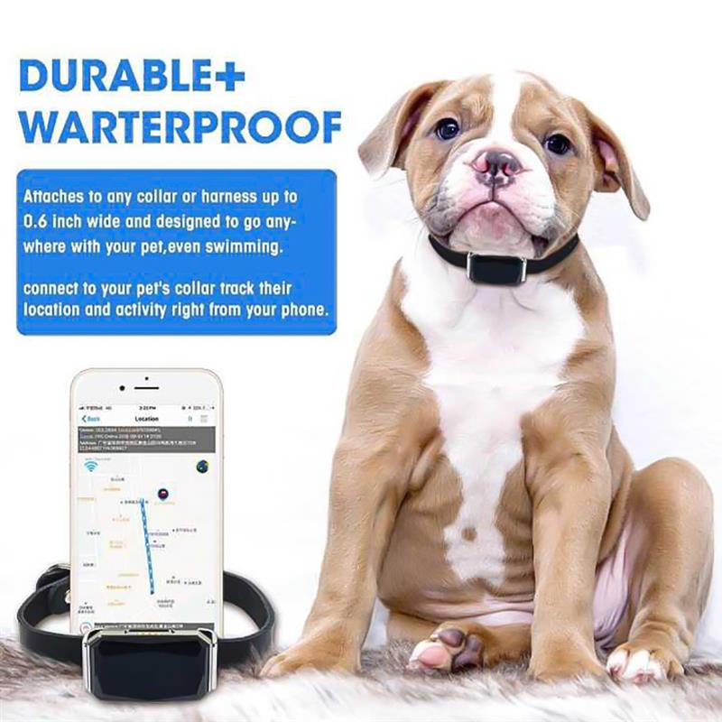 GPS Smart Waterproof Pet Locator Collar