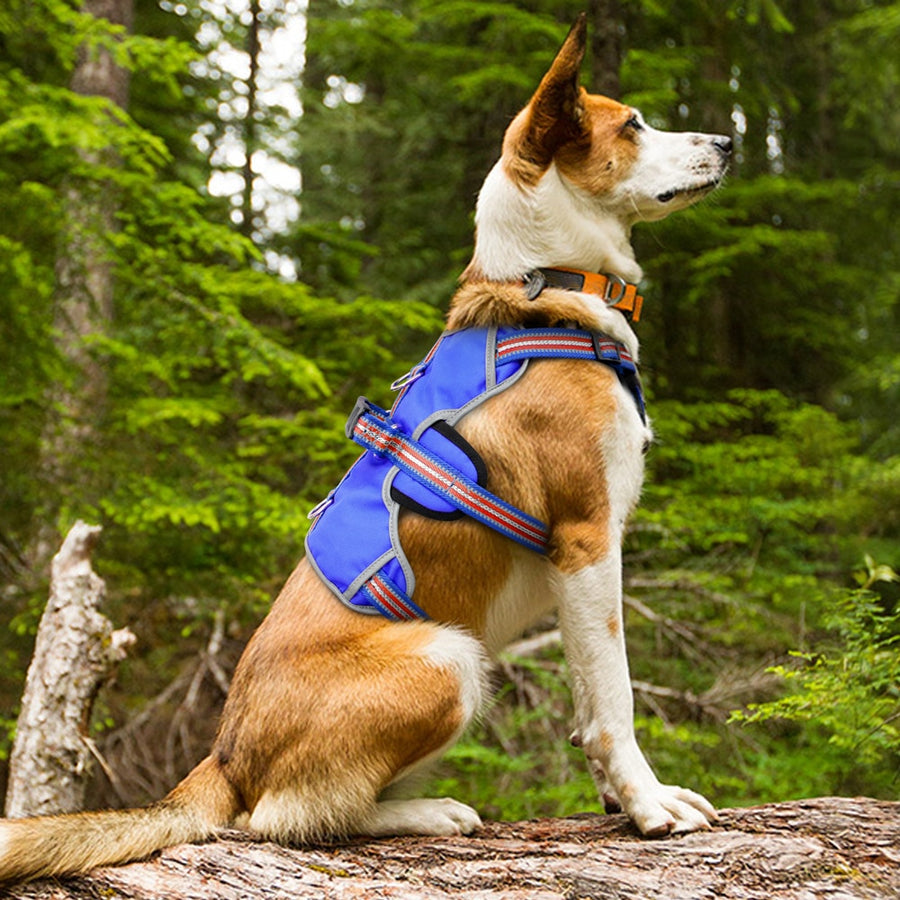 Blue Nylon Large Dog Harness