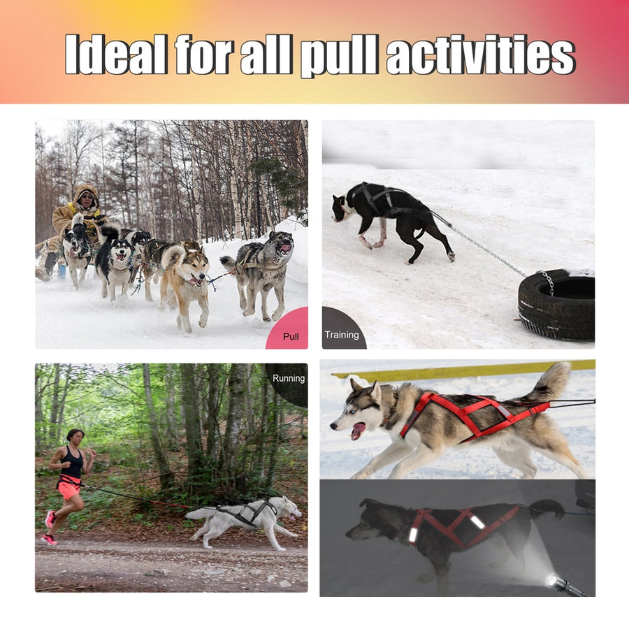 Waterproof Dog Sled Harness