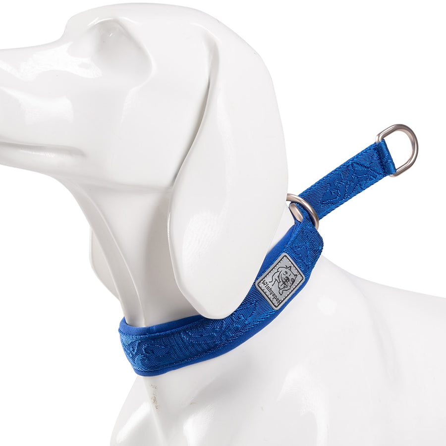 Nylon Webbing P-Chain Explosion Proof Dog Collar