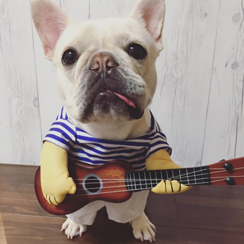 Funny Guitar Pet Dog Costume