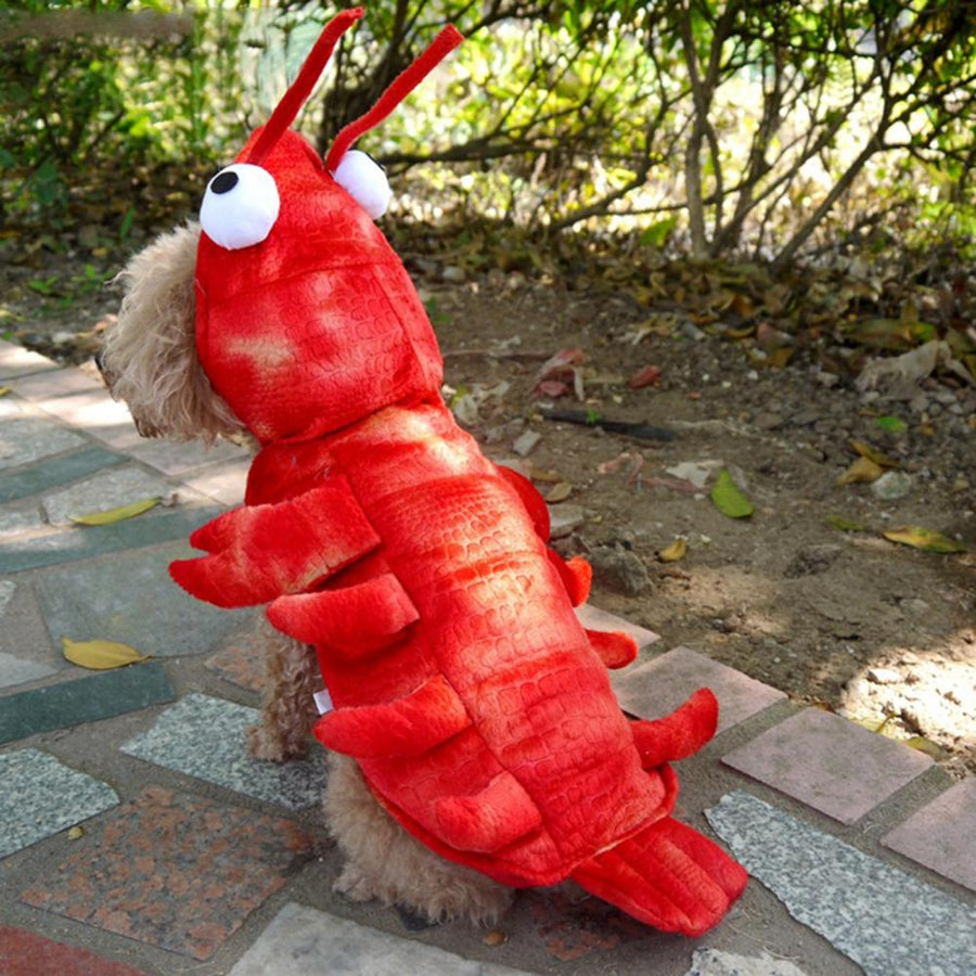 Halloween Lobster Funny Dog Costume