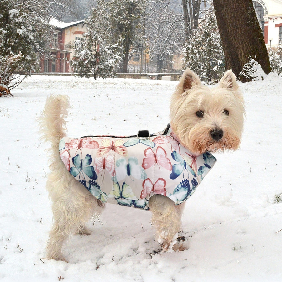 Luxury Butterfly Winter Dog Coat