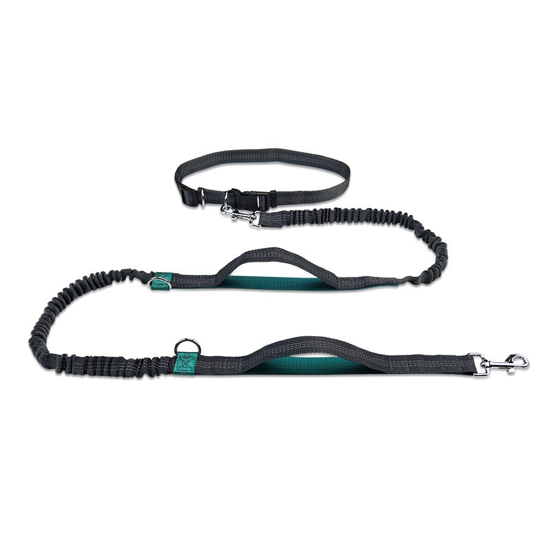 Dual Handles Hands Free Dog Leash