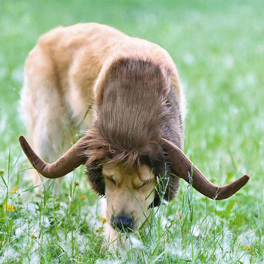 Funny Cattle Horns Pets Wig