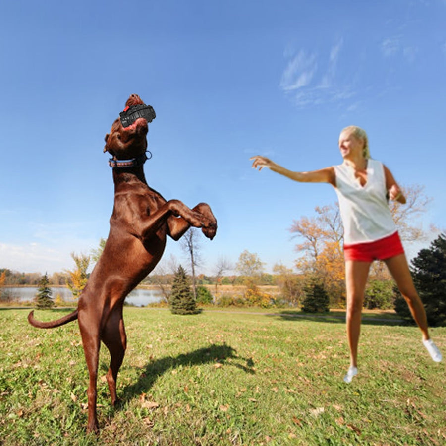 Ultra Durable Grenade Dog Chew Toy