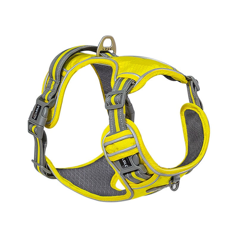 The Hornets Oxford Dog Harness