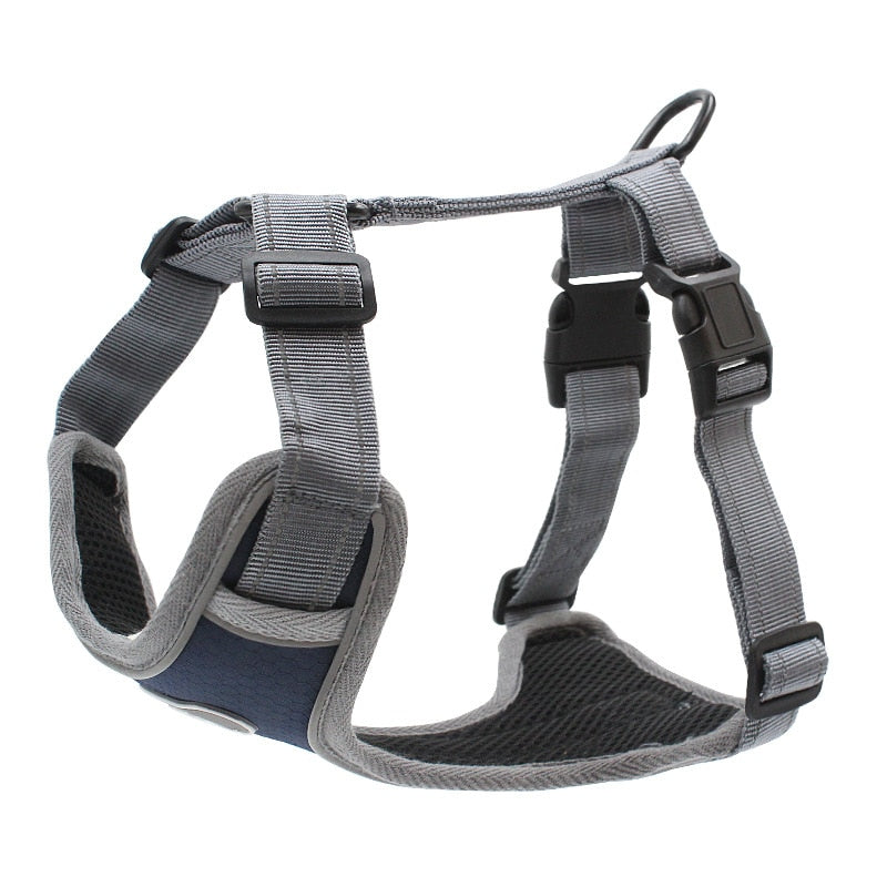 Large Dog Training Harness