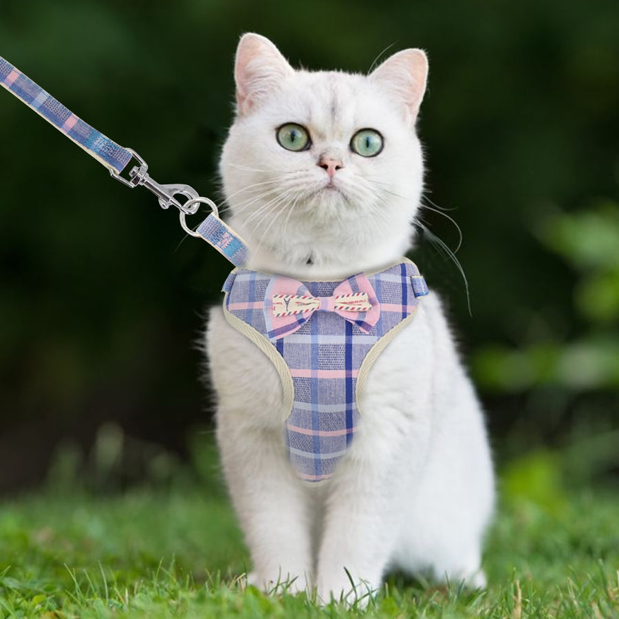 Cute Bowknot Pet Harness