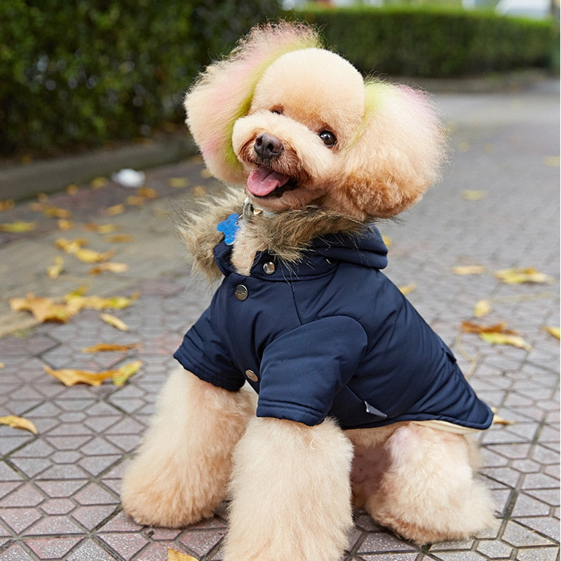 Winter Down Warm Dog Jacket