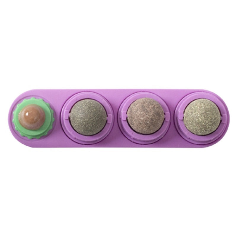 Pet Cat Catnip Wall Ball Toy