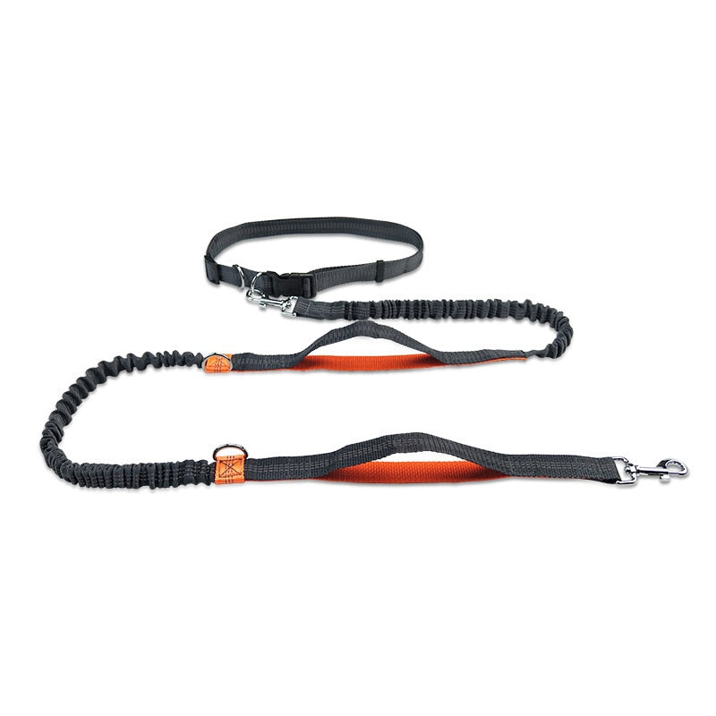 Dual Handles Hands Free Dog Leash