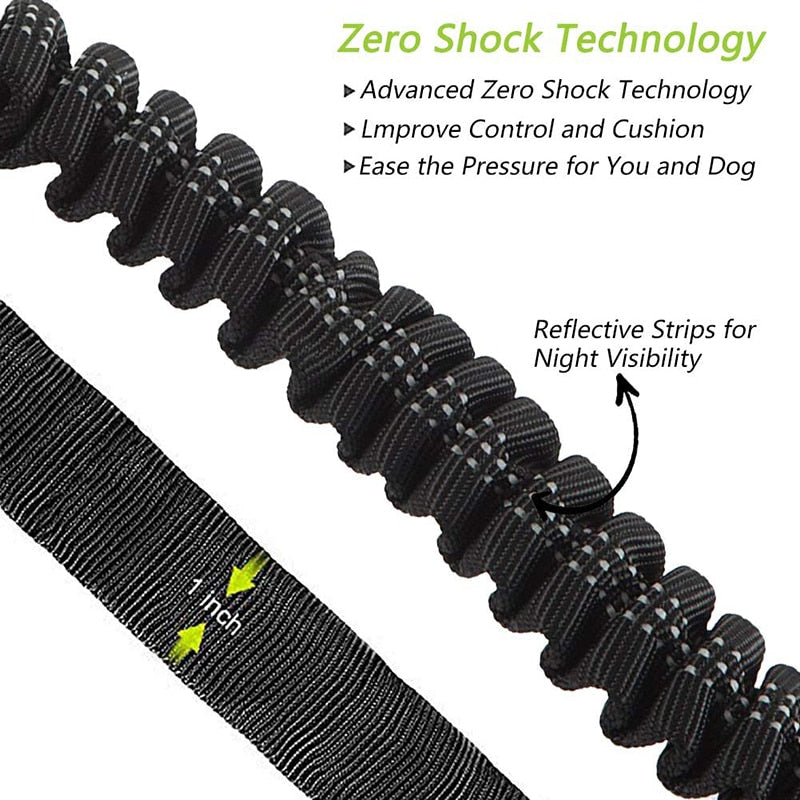 Short Distance Control Bungee Dog Leash