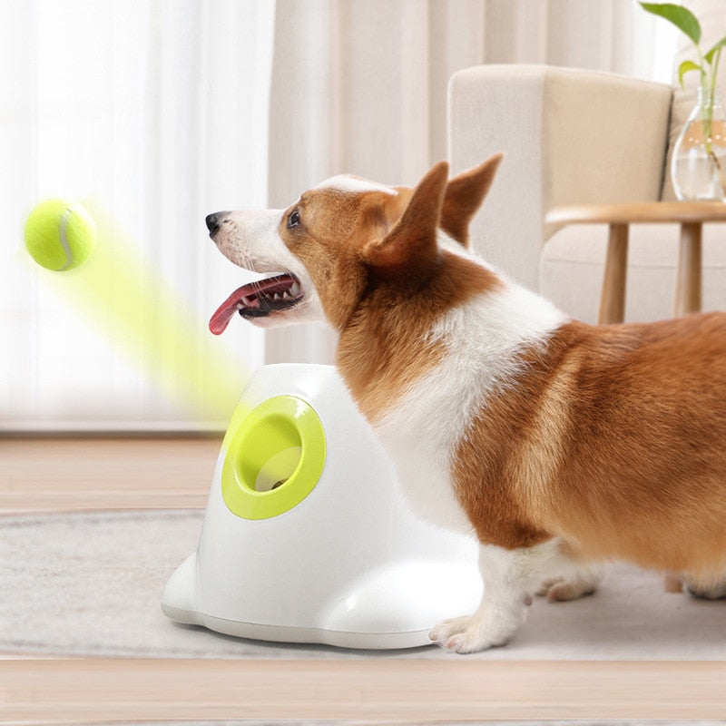 Automatic Dog Tennis Launcher Machine