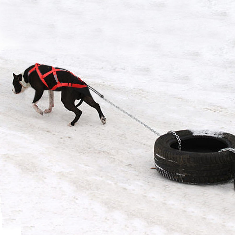 Waterproof Dog Sled Harness