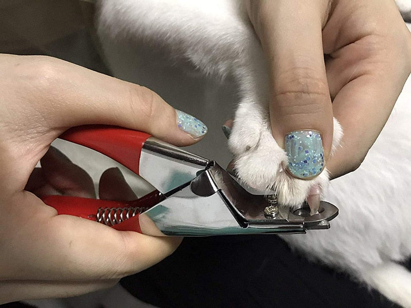 Professional Dog Toe Nail Clippers