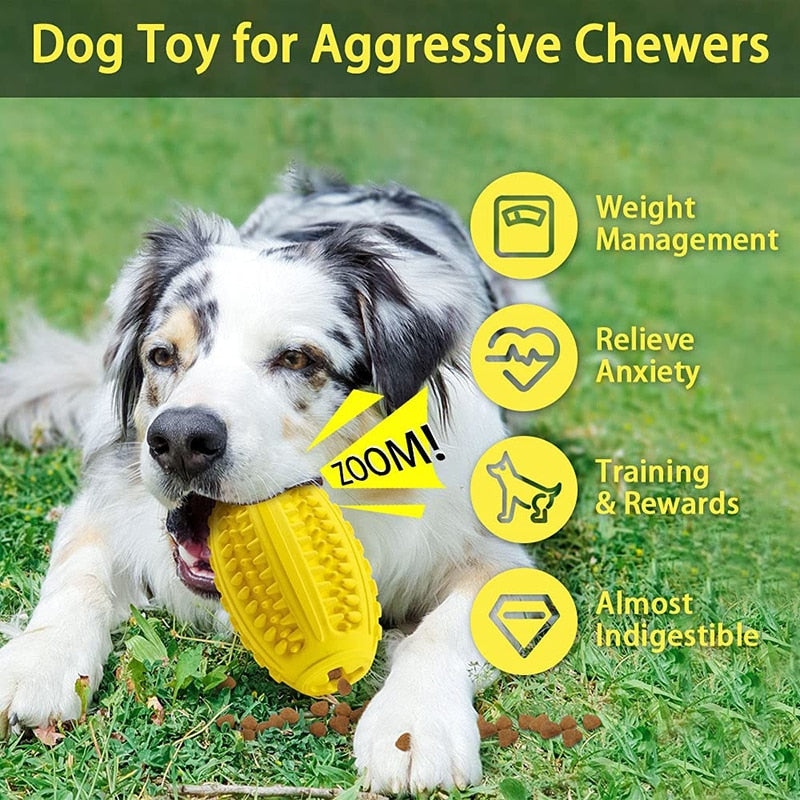 4 In 1 Squeaker Dog Chew Toys