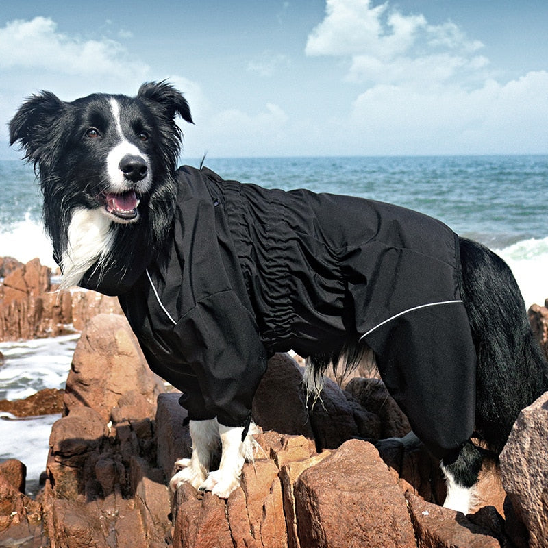 Outdoor Waterproof Black Dog Raincoat