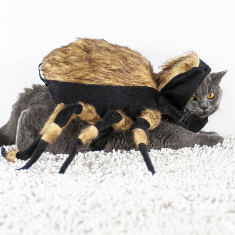 Funny Halloween Spider Dog Costumes