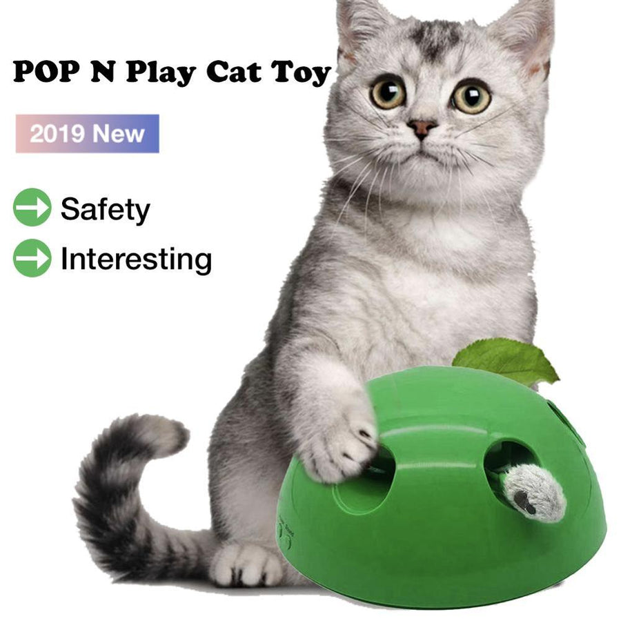 Funny Cat Interactive Toy