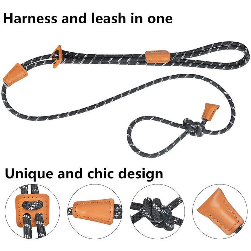 Durable Slip Dog Harness And Leash