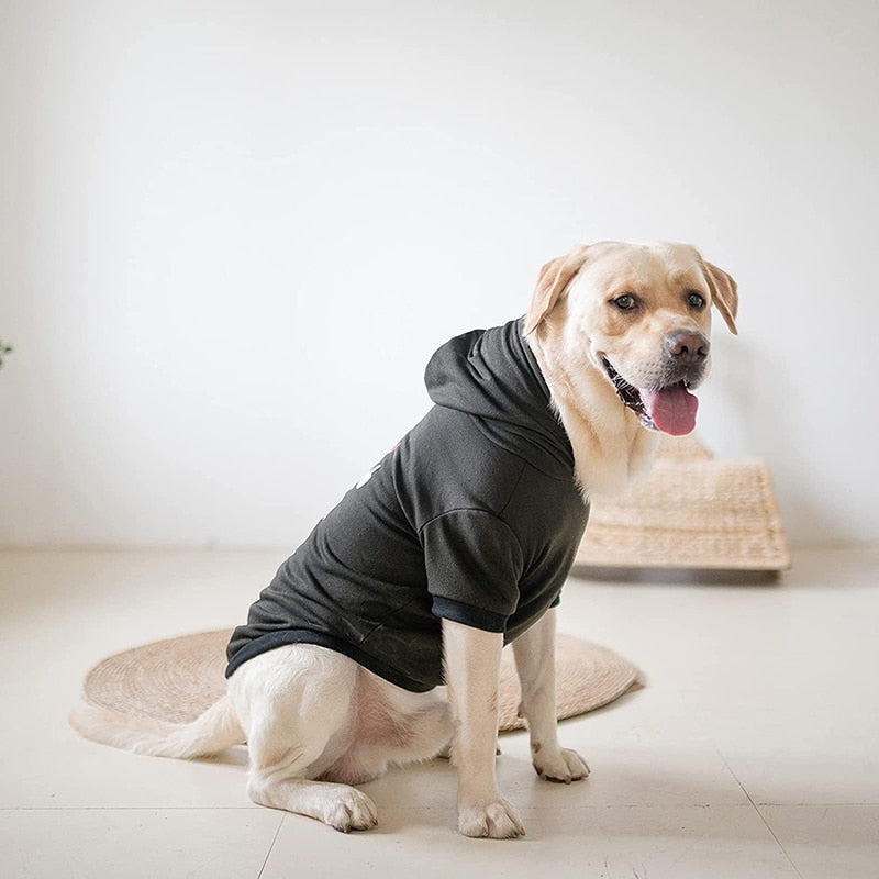 Fashion Print Stylish Dog Hoodie