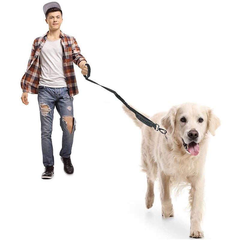 4 In 1 Multifunction Heavy Duty Dog Leash