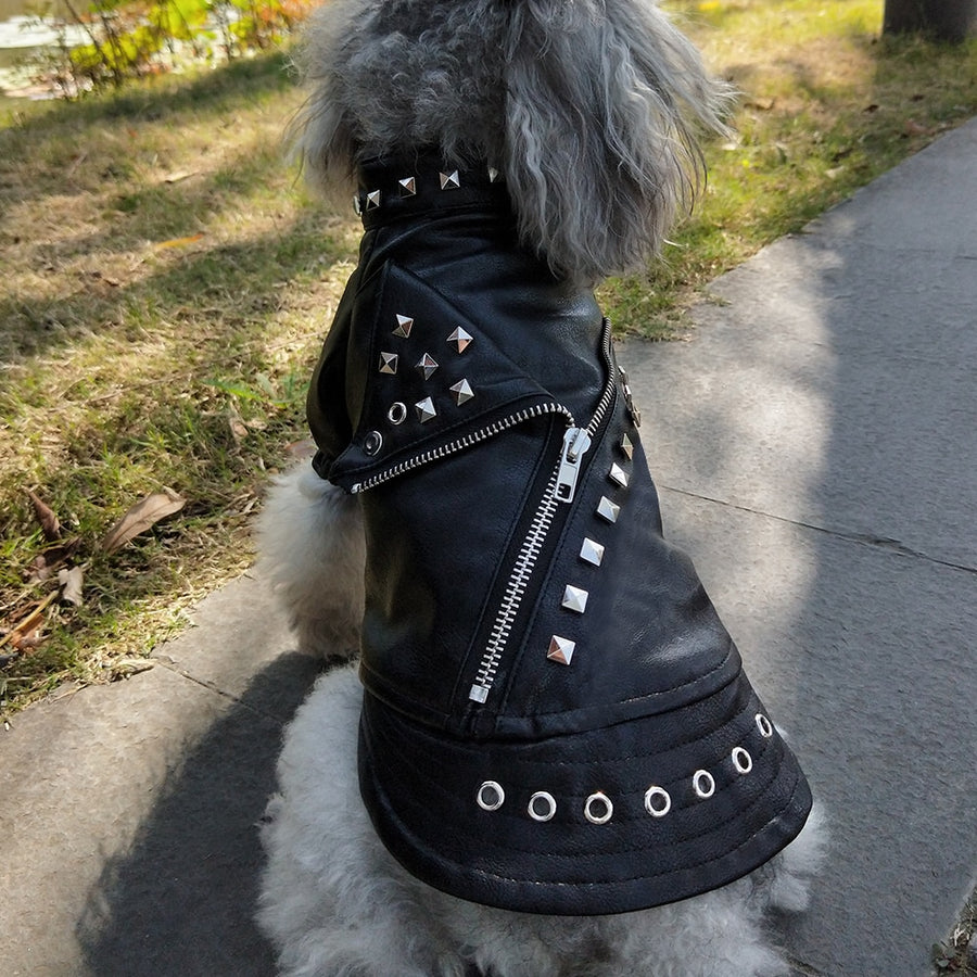 French Bulldog Leather Dog Jacket