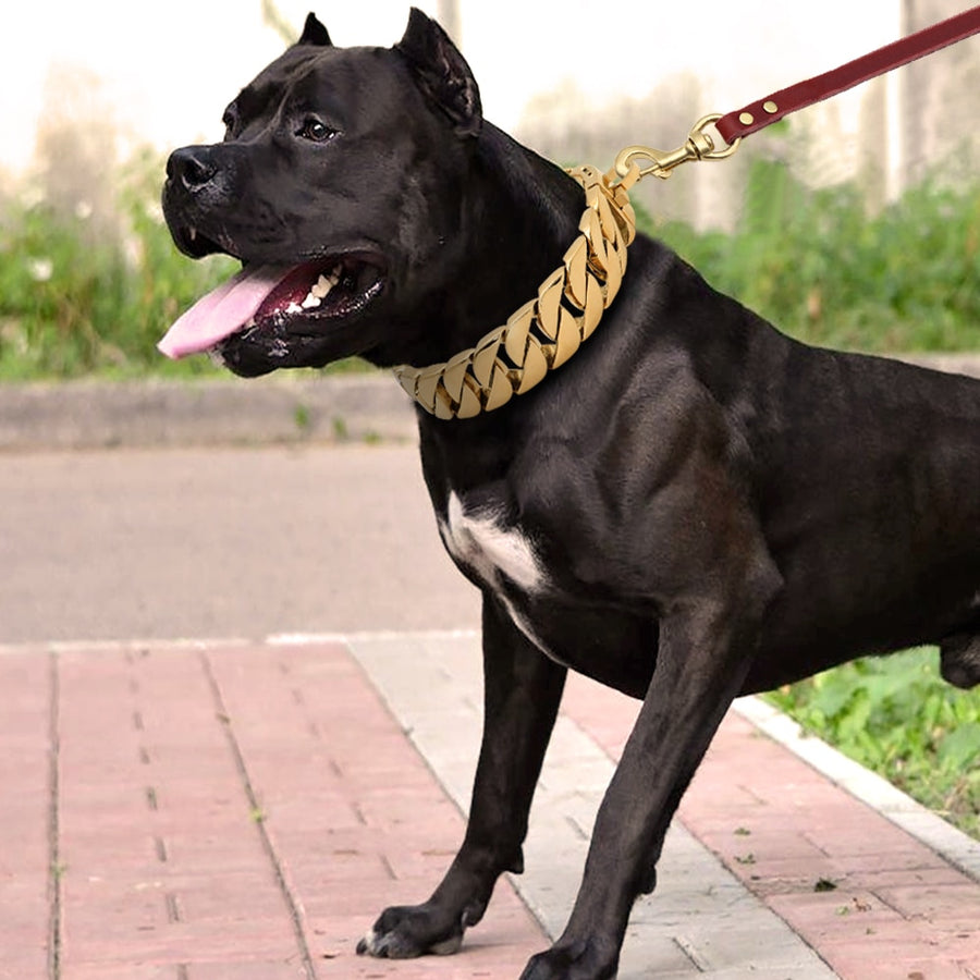 Pitbull Stainless Steel Gold Chain