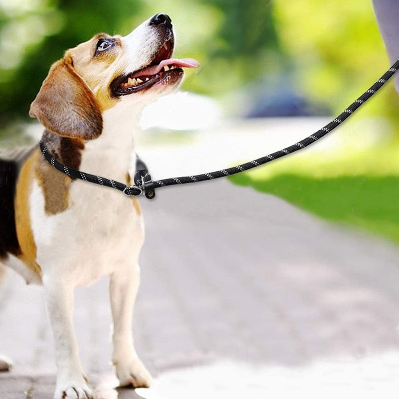 Reflective Padded Slip Dog Leash