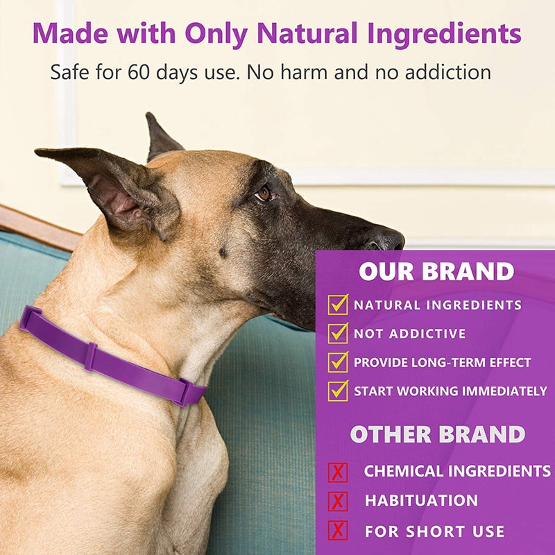 Effective Safe Calming Pet Collar