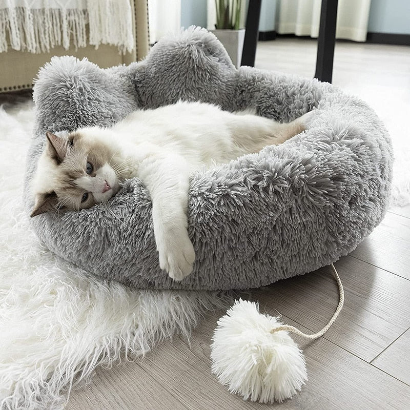 High Quality Polypropylene Pet Bed