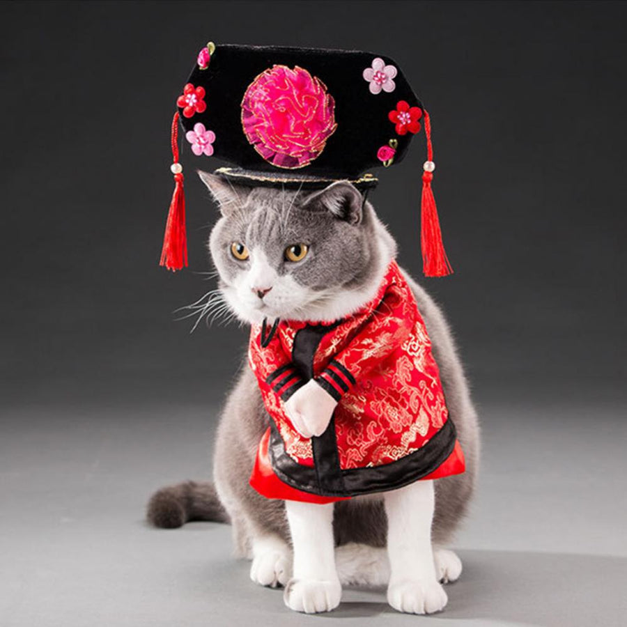 Funny Chinese Princess Pets Costume