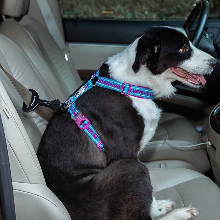 Vehicle Car Pet Seat Belt Lock