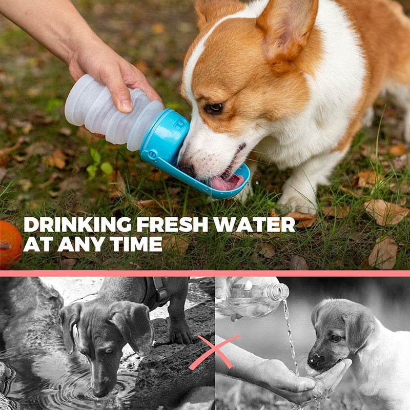 300ML Foldable Portable Dog Water Bottle