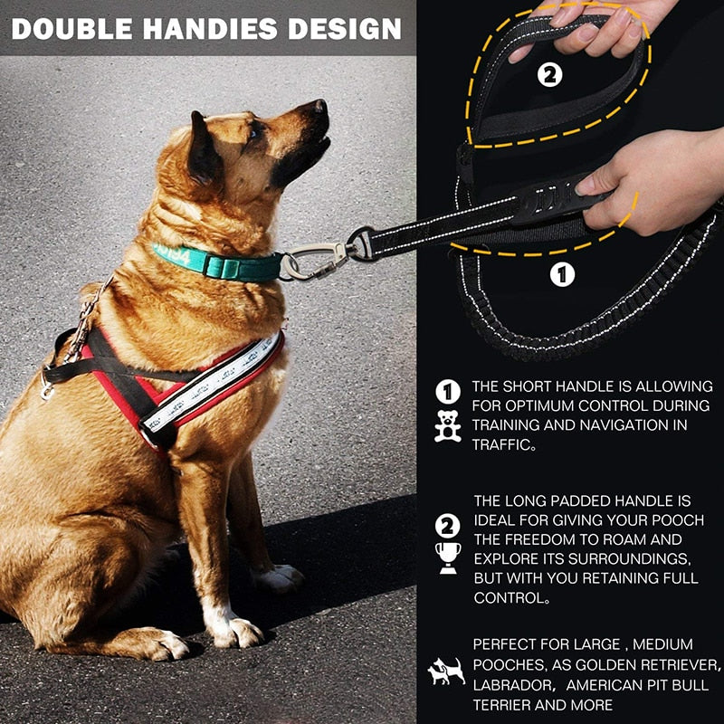 Advance Shock Absorbing Dog Leash